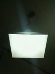 200604131910000.jpg