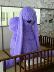 200605121519000.jpg