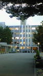 NEC_0398.jpg